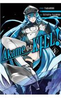 Akame ga KILL!, Vol. 4