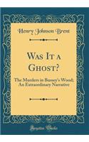 Was It a Ghost?: The Murders in Bussey's Wood; An Extraordinary Narrative (Classic Reprint)
