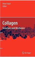 Collagen