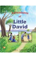 Adventures of Little David