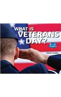 What Is Veterans Day?