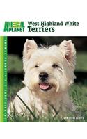 West Highland White Terriers