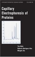 Capillary Electrophoresis of Proteins