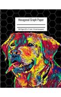 Hexagonal Graph Paper: Organic Chemistry & Biochemistry Notebook, Vibrant Labrador Retriever Dog Cover, 160 Pages (8.5 x 11 inch, 1/4 inch hexagons)