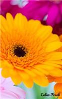 Color Freak: Gerbera Daisy Floral 5x8 Inch Lined Notebook / Field Journal