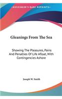 Gleanings from the Sea