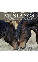 Mustangs - Wild Horses in the USA 2018: Symbol of Freedom and Power(Calvendo Animals)
