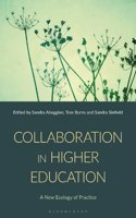 Collaboration in Higher Education