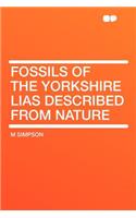 Fossils of the Yorkshire Lias Described from Nature