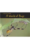 World of Bugs