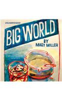 Big World