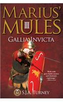 Marius' Mules III