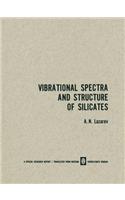 Vibrational Spectra and Structure of Silicates