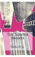 The Sleeper Awakes