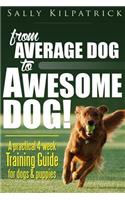 Dog Training