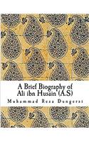 A Brief Biography of Ali Ibn Husain (A.s)