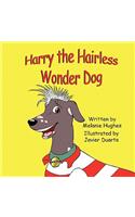 Harry the Hairless Wonder Dog