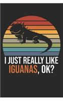 I Just Really Like Iguanas, OK?: DIN A5 Leguan Notizheft - 120 Seiten kariertes Leguan Notizbuch für Notizen in Schule, Universität, Arbeit oder zuhause. - Eine tolles Geschenk für 