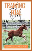 Training Foal