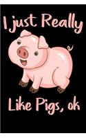 I just really like pigs ok notebook gift