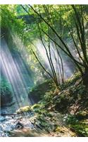 Nature Notebook