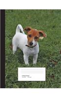 Jack Russell Terrier Puppy Composition Book College Ruled