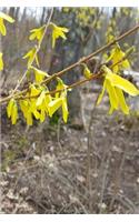 2019 Weekly Planner Early Spring Forsythia 134 Pages: (2019 Planners Calendars Organizers Datebooks Appointment Books Agendas)