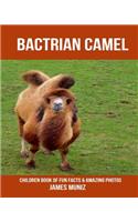 Bactrian Camel: Children Book of Fun Facts & Amazing Photos