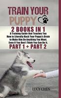 Train your Puppy