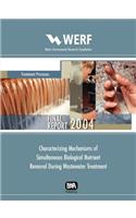 Characterizing Mechanisms of Simultaneous Biological Nutrient Removal During Wastewater Treatment