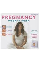 Pregnancy Week By Week