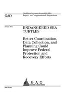 Endangered sea turtles