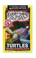 Everything You Should Know About: Turtles Faster Learning Facts