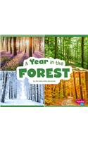 A Year in the Forest