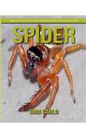 Spider: Amazing Fun Facts and Pictures about Spider for Kids