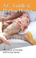 Chance Meeting