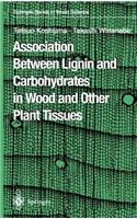 Association Between Lignin and Carbohydrates in Wood and Other Plant Tissues