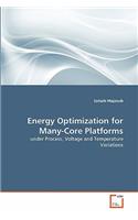 Energy Optimization for Many-Core Platforms