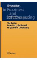 Brain: Fuzzy Arithmetic to Quantum Computing
