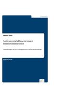 Softwareentwicklung in jungen Internetunternehmen: Anforderungen an Entwicklungsprozesse und Architekturdesign(German)