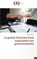 La gestion financière d'une organisation non gouvernementale