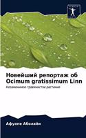 &#1053;&#1086;&#1074;&#1077;&#1081;&#1096;&#1080;&#1081; &#1088;&#1077;&#1087;&#1086;&#1088;&#1090;&#1072;&#1078; &#1086;&#1073; Ocimum gratissimum Linn