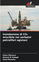 Inondazione di CO₂ miscibile nei serbatoi petroliferi egiziani