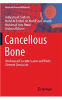 Cancellous Bone