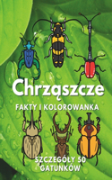 Chrzaszcze