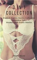 3 in 1 Collection: Explicit Erotica Stories Collection: Forbidden Tales: Steamy Adult Erotic Stories: 14 Short Erotic Stories: Adult Bedtime Stories