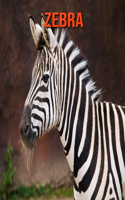 Zebra: Children's Books --- Children Book of Fun Facts & Amazing Photos