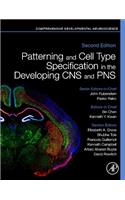 Patterning and Cell Type Specification in the Developing CNS and Pns