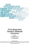 Time-Dependent Quantum Molecular Dynamics