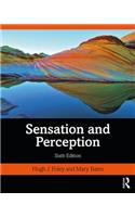 Sensation and Perception